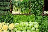 تحقیق عوامل موثر بر تجمع نیترات در سبزی ها