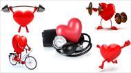 تحقیق تاثیر ورزش بر سلامتی قلب